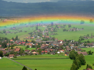 Header-4.jpg